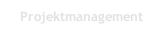 Projektmanagement